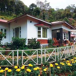 Olive Brook *** Munnar