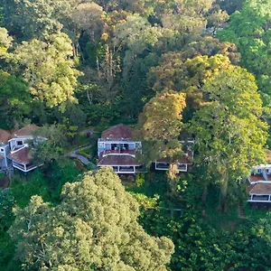 The Tall Trees **** Munnar